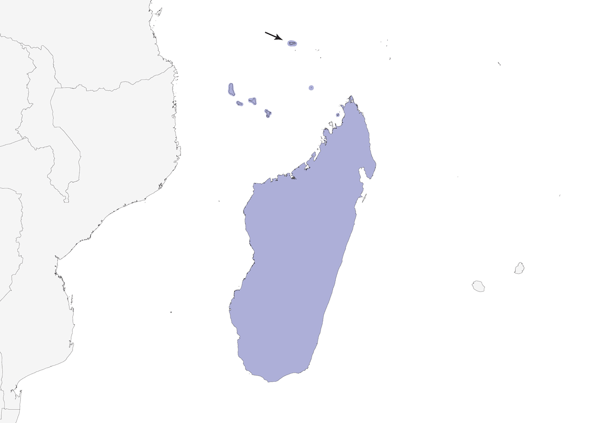 Bulbul malgache, Distribución 1
