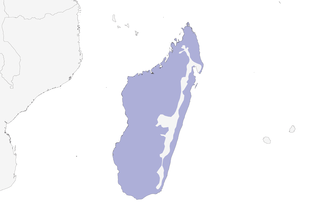 Madagaskar-Wiedehopf, Verbreitung 1