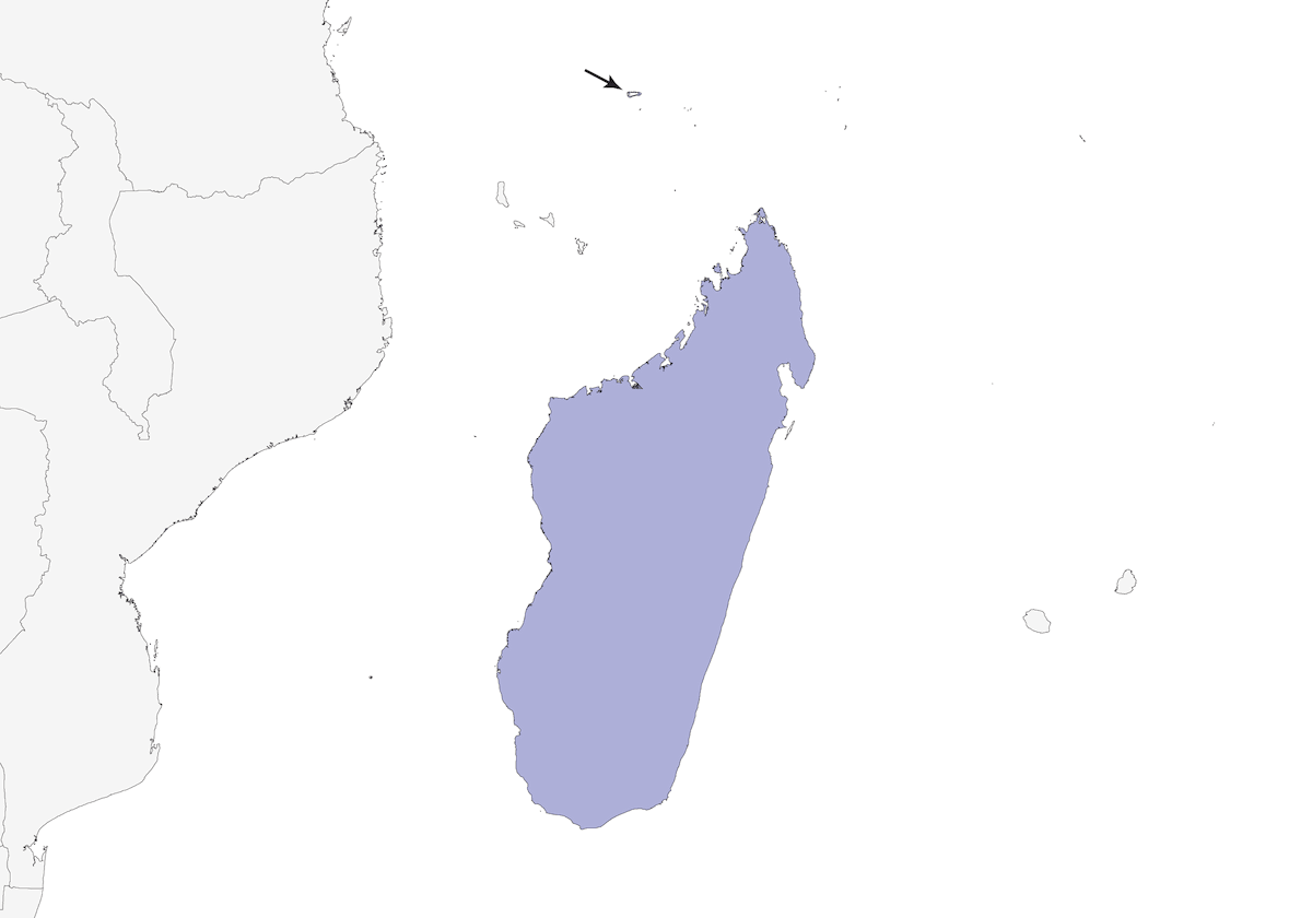 Engoulevent de Madagascar, Distribution 1