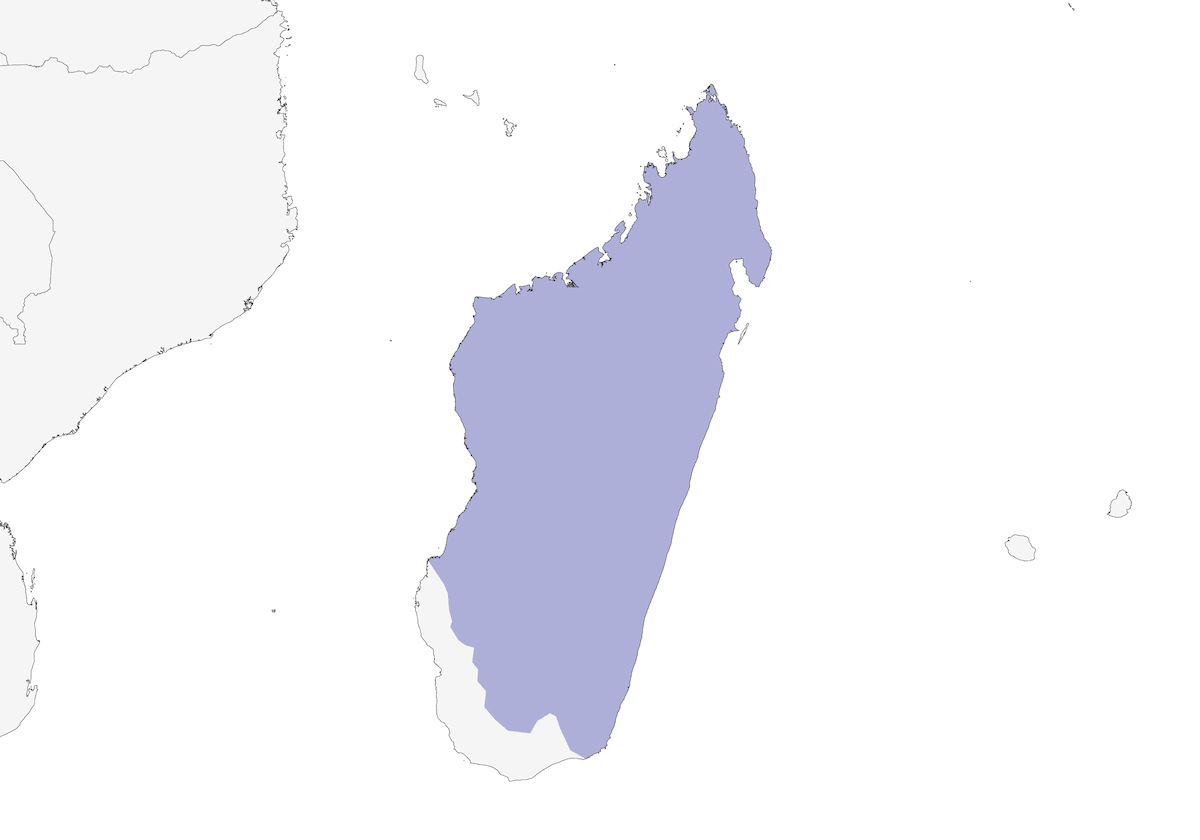 Madagaskar-Rebhuhn, Verbreitung 1