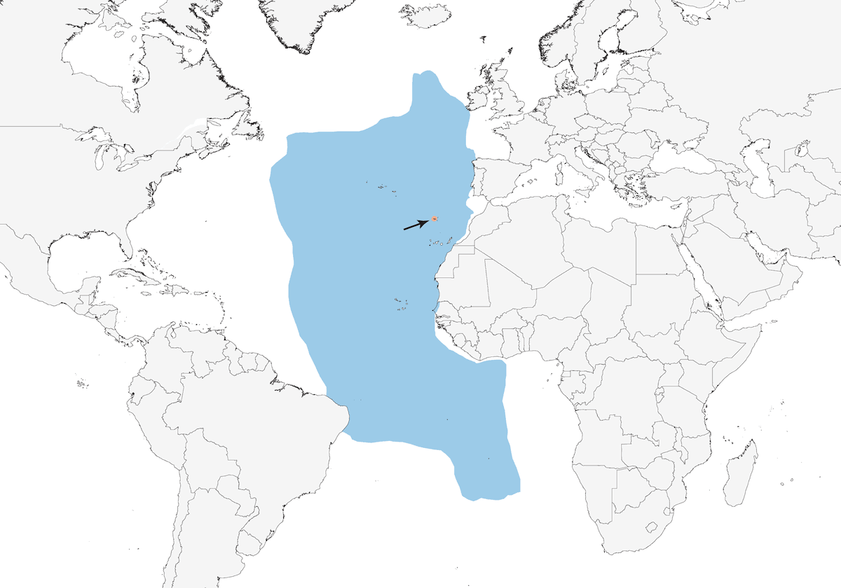 Petrello di Zino, Distribuzione 1