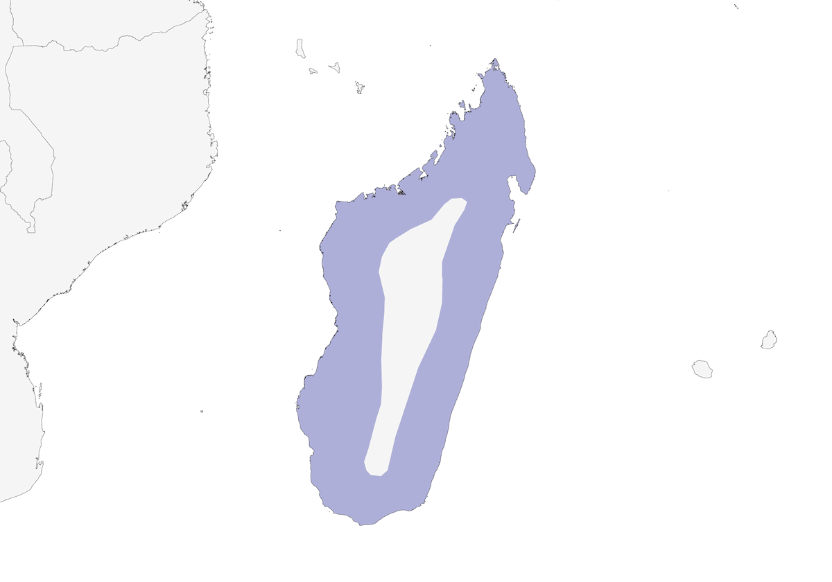 Gavilán de Madagascar, Distribución 1