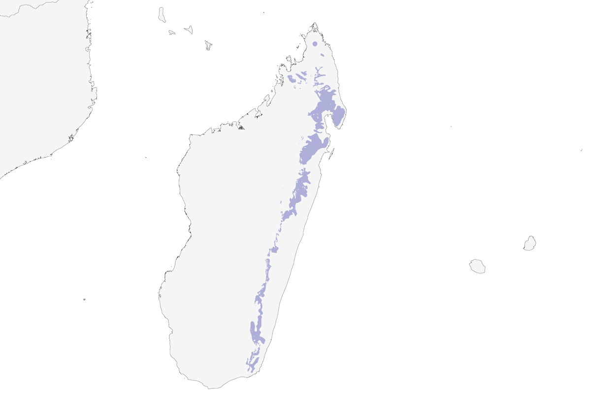 Madagaskarralle, Verbreitung 1