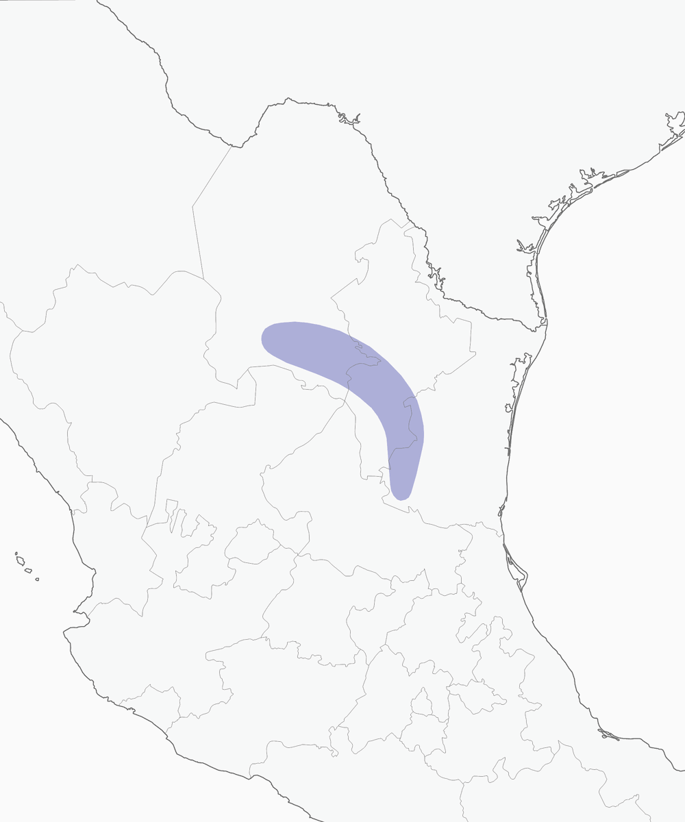 Maroon-fronted Parrot, Distribution 1