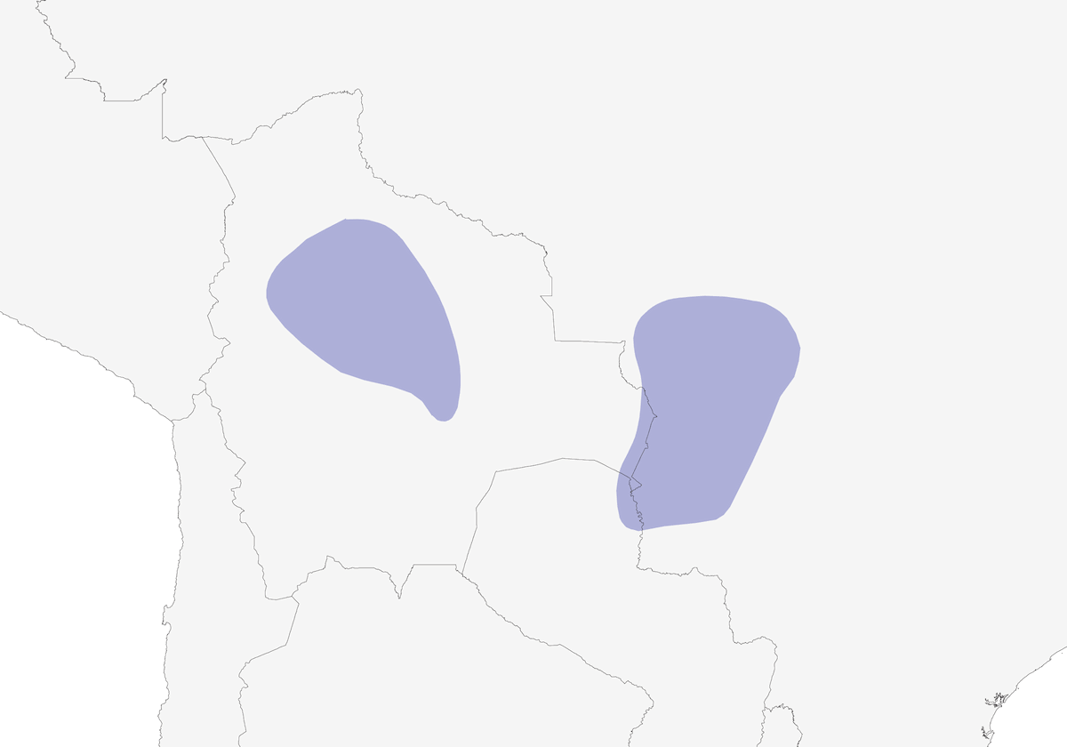 Formicario del Mato Grosso, Distribuzione 1