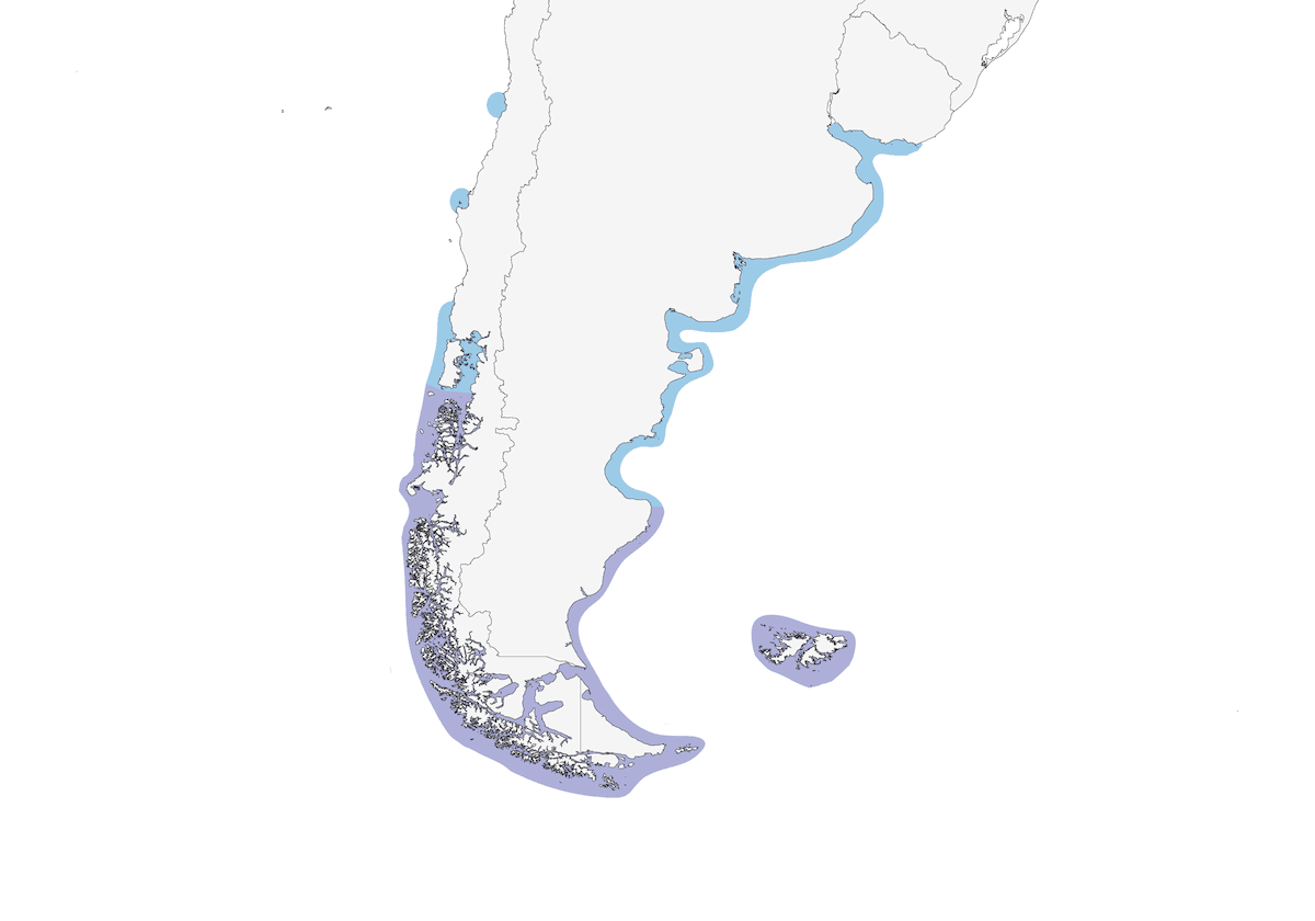 Cormorano di Magellano, Distribuzione 1