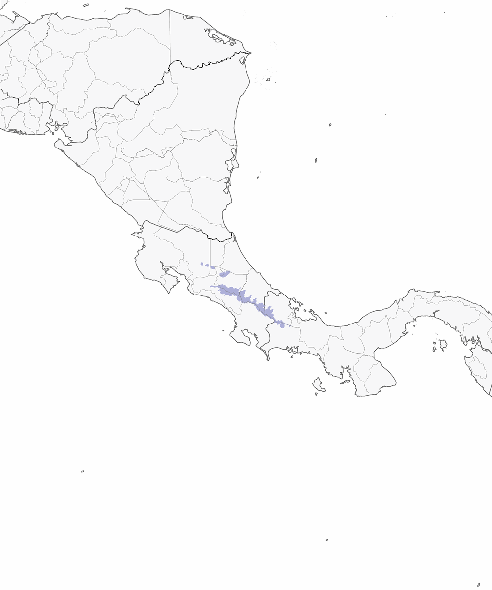 Colibri de Talamanca, Distribution 1