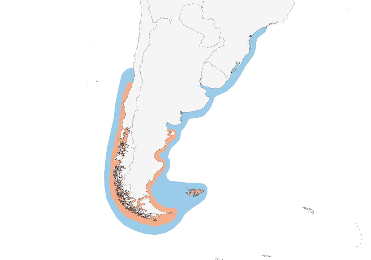 Pingüino de Magallanes, Distribución 1