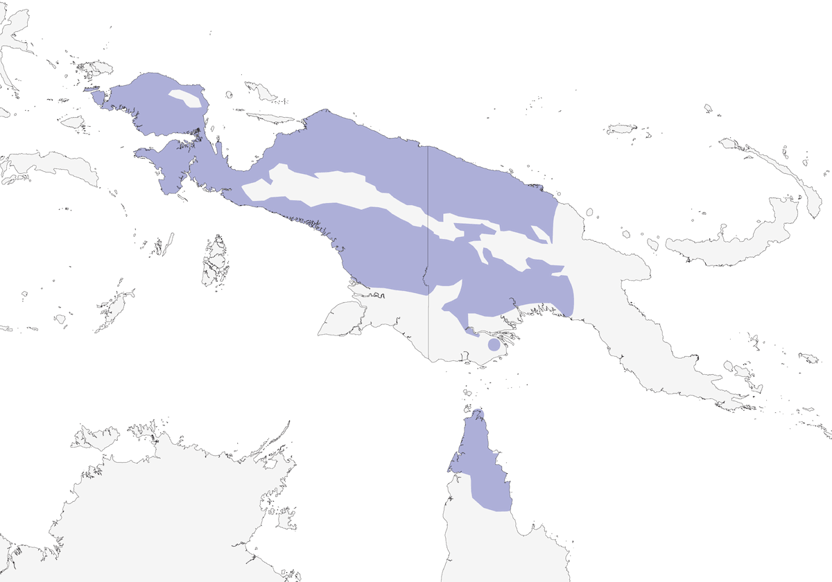 Uccello fucile magnifico, Distribuzione 1