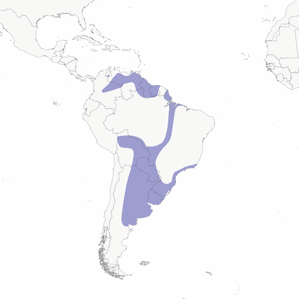 Maguari Stork, Distribution 1