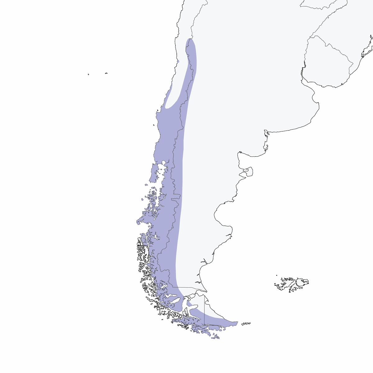 Tapaculo della Magellano, Distribuzione 1