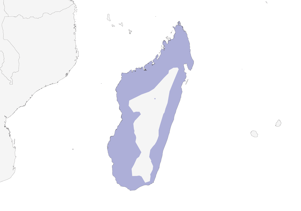 Azor-águila malgache, Distribución 1