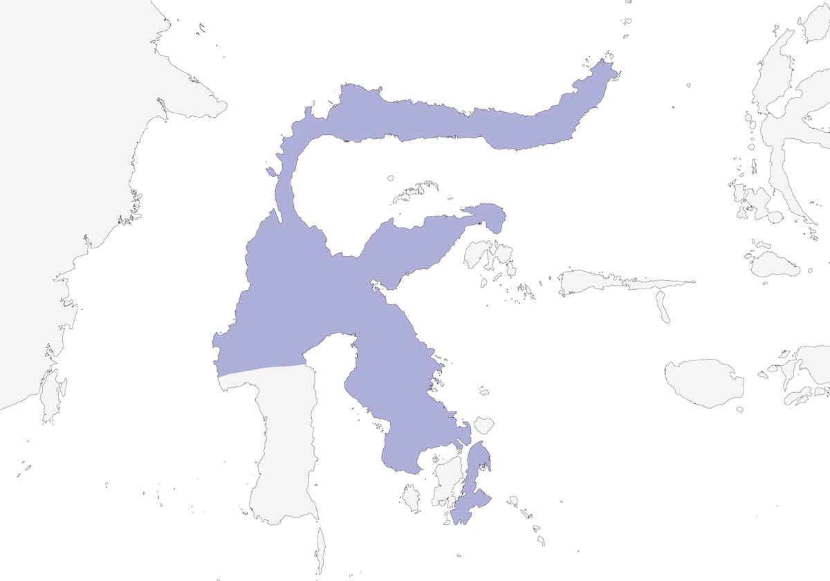 Maleo, Distribución 1