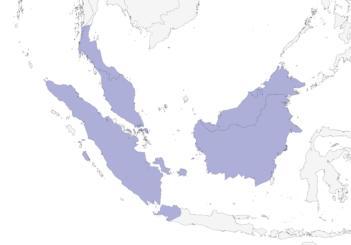 Malaysian Hawk-Cuckoo, Distribution 1