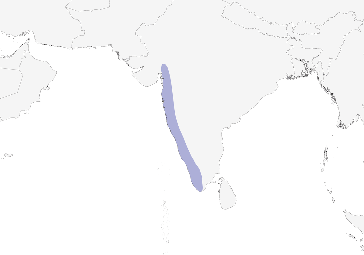 Allodola del Malabar, Distribuzione 1
