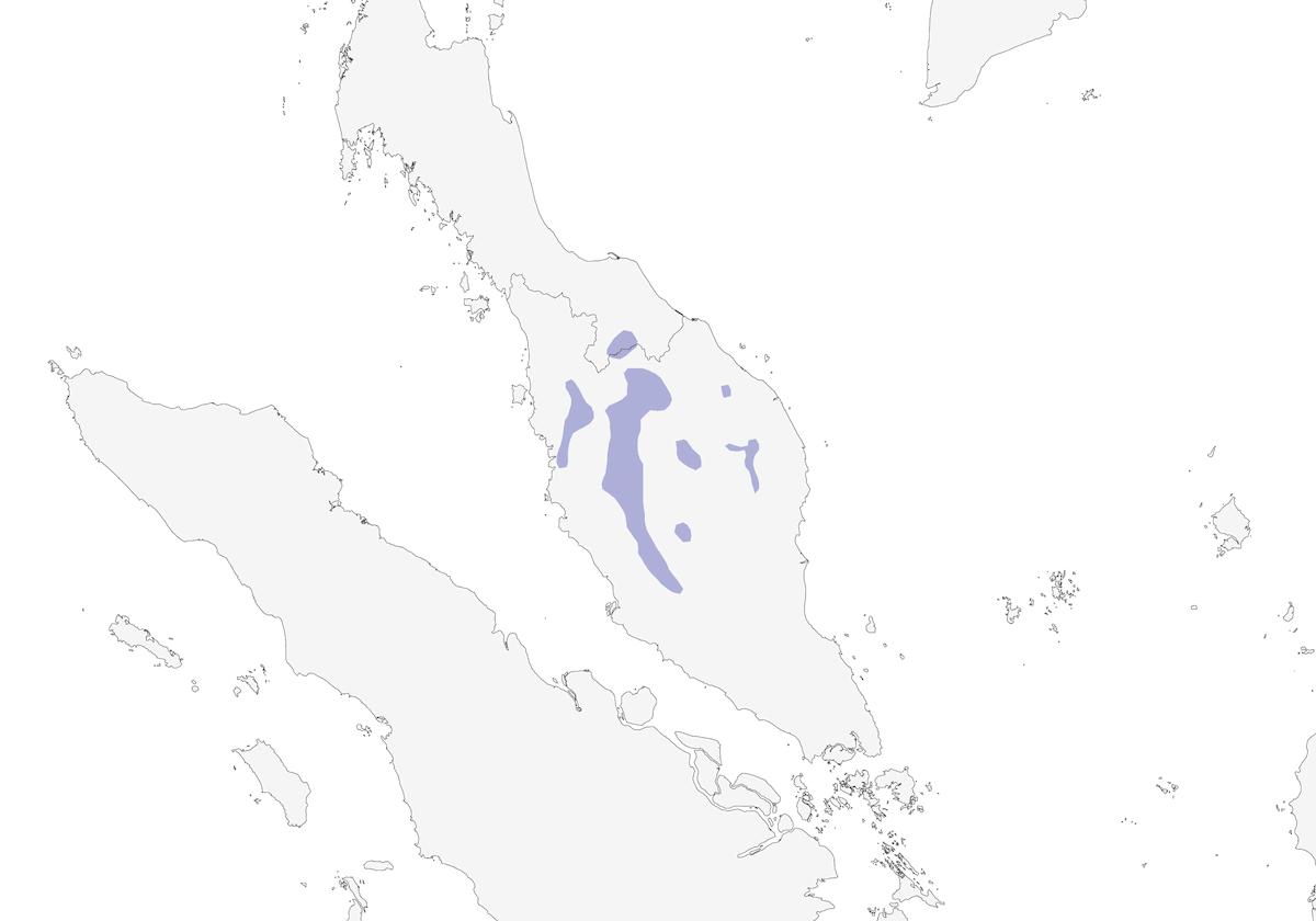 Garrulo della Malesia, Distribuzione 1
