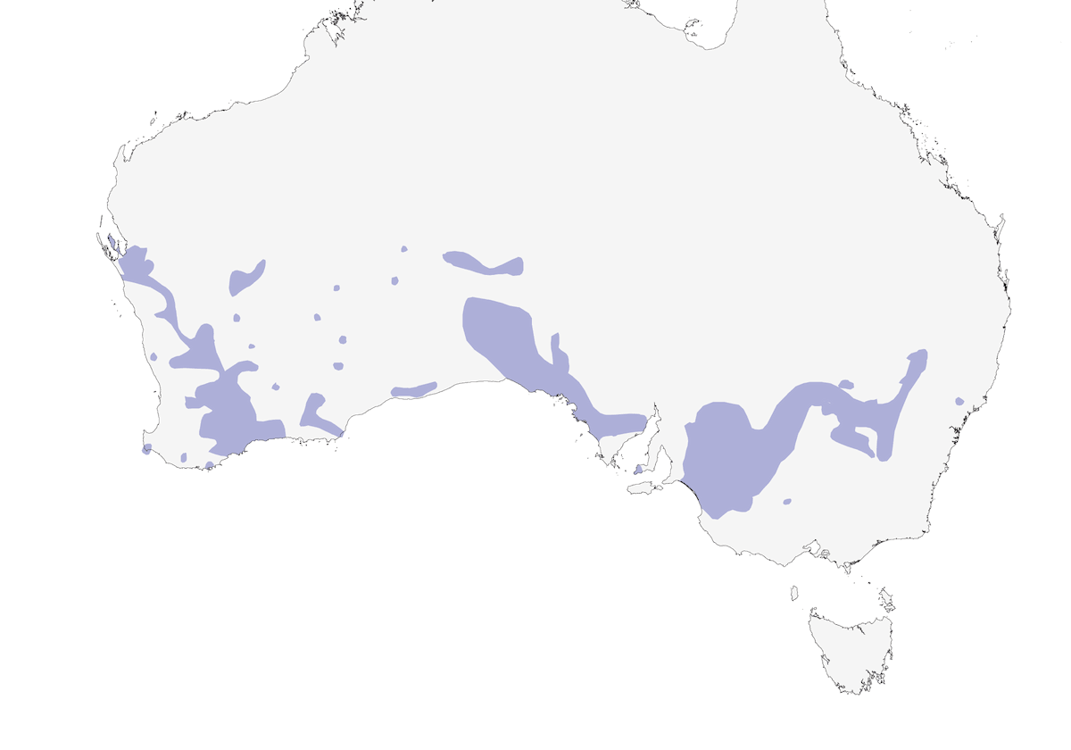 Malleefowl, 分布 1