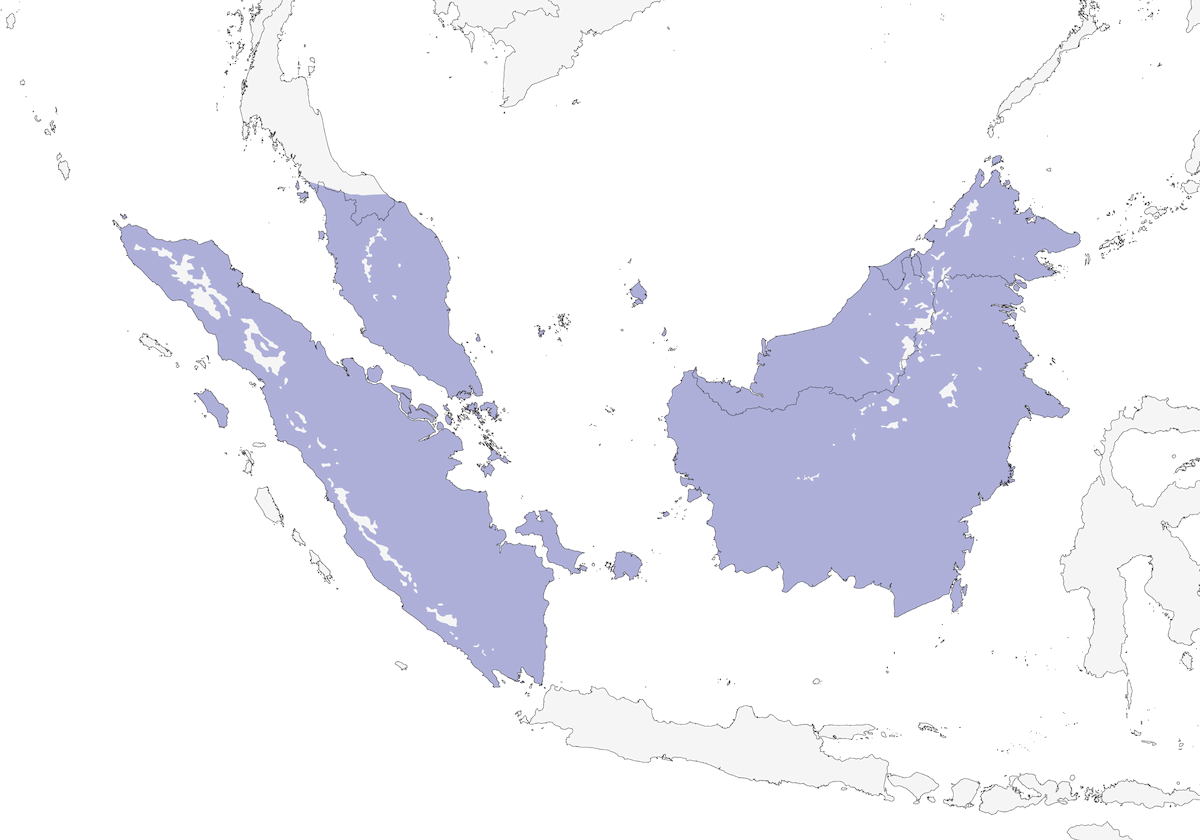 Malaysian Eared-Nightjar, Distribution 1