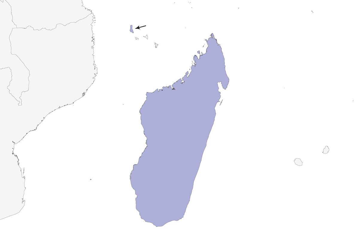 Madagascar Spinetail, Distribution 1