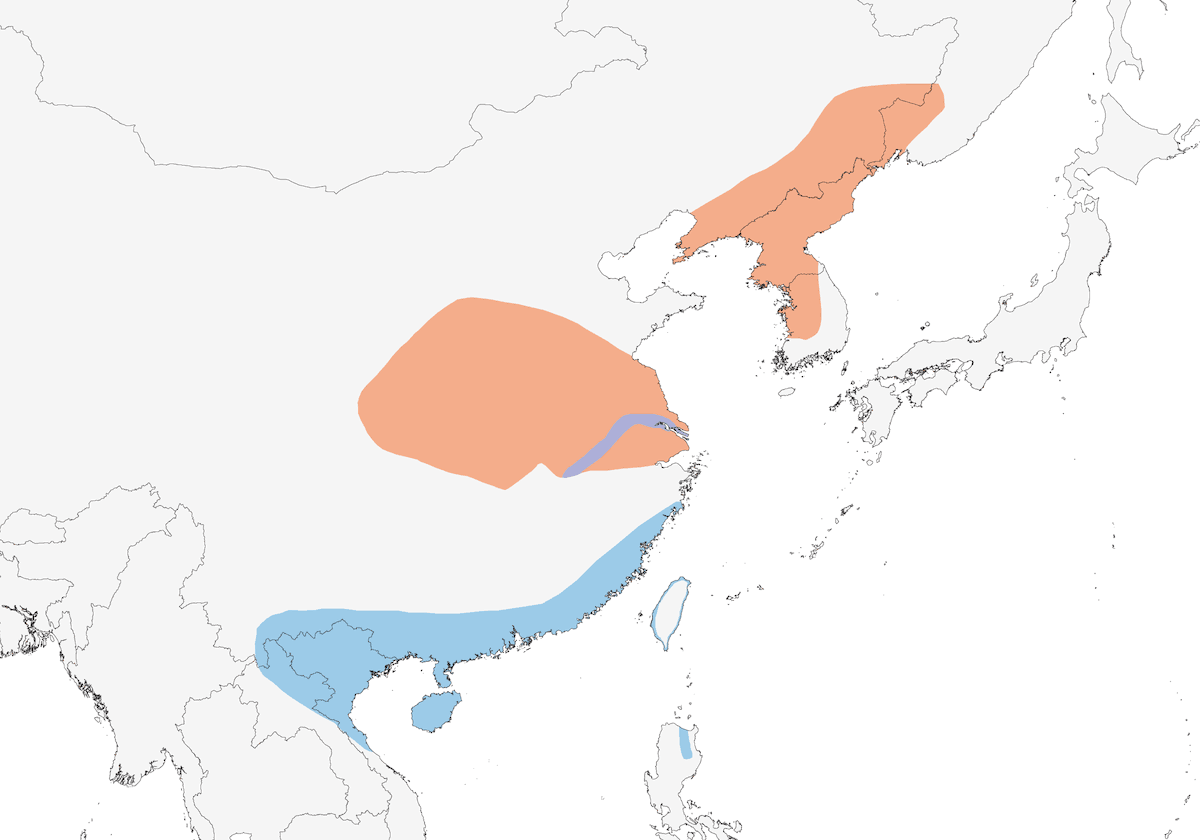 Manchurian Bush Warbler, Distribution 1