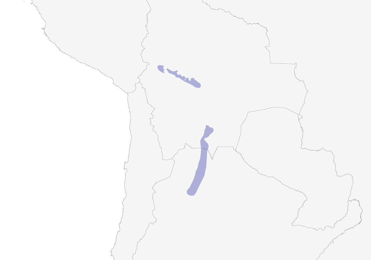 Canastero della macchia, Distribuzione 1