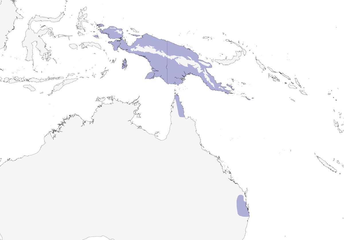 Podargo marmorizzato, Distribuzione 1