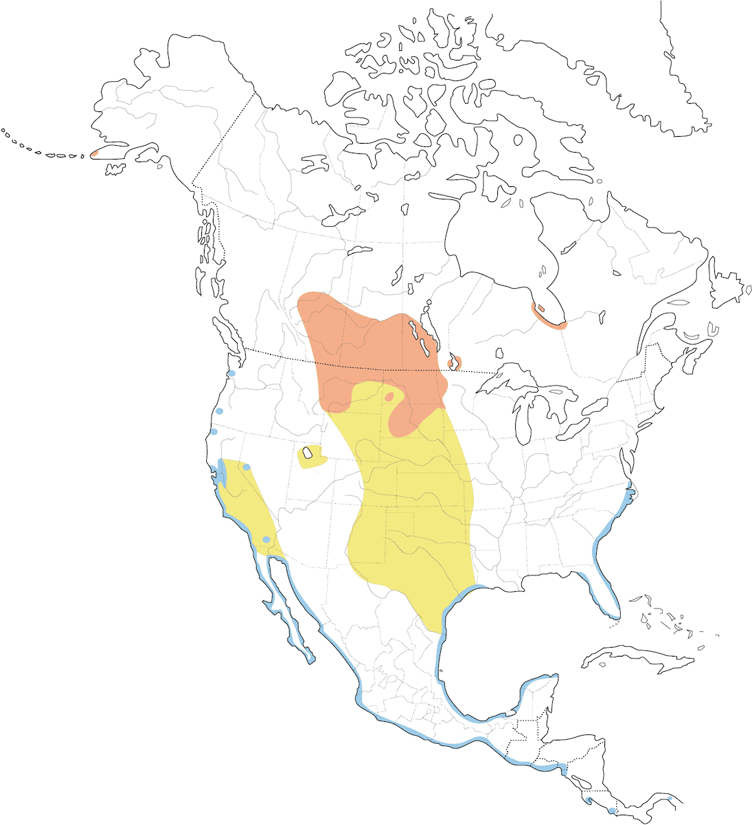 Marmorschnepfe, Verbreitung 1