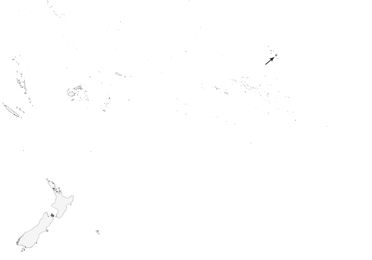 Martin pescatore delle Marchesi, Distribuzione 1