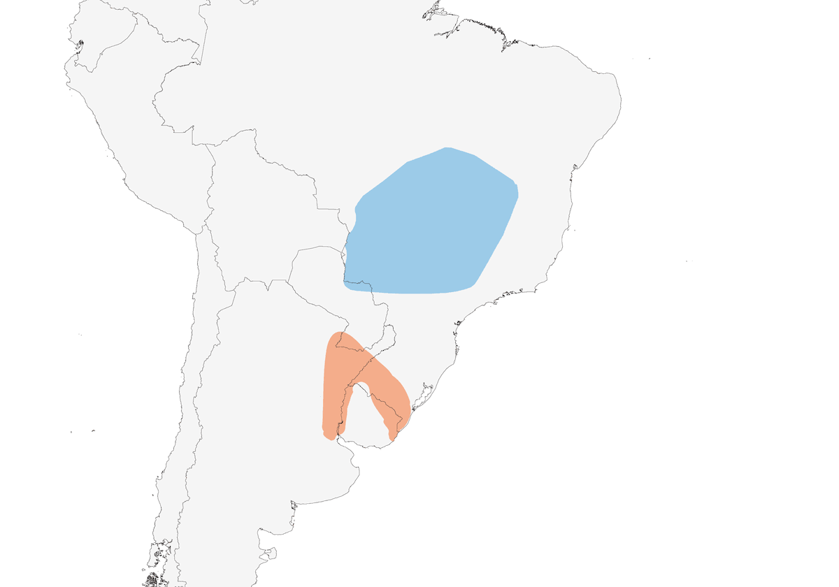 Semenzaio palustre, Distribuzione 1