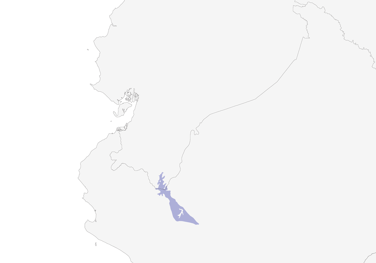 Marañon Spinetail, Distribution 1
