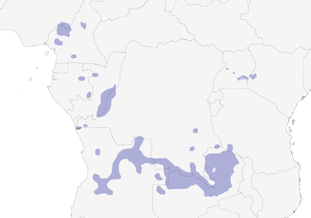 Euplecte de Hartlaub, Distribution 1