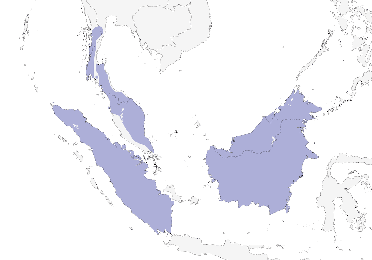 Pico granate, Distribución 1