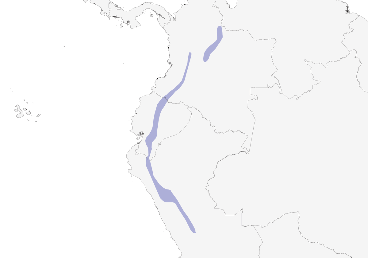 Canastero striato, Distribuzione 1