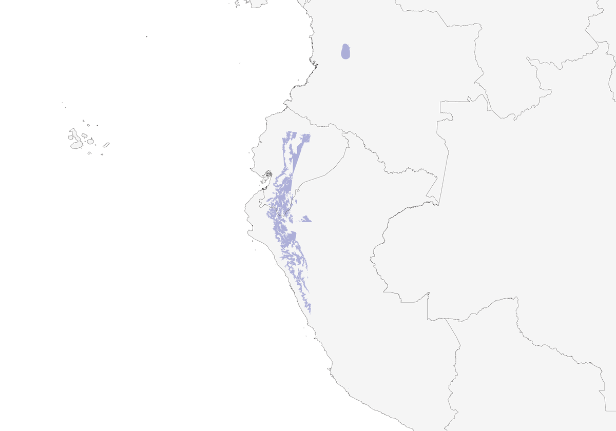 Saltatore mascherato, Distribuzione 1