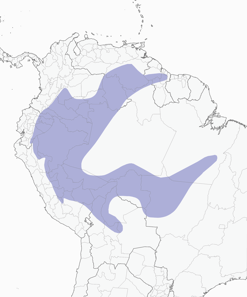 Tanagra mascherata, Distribuzione 1