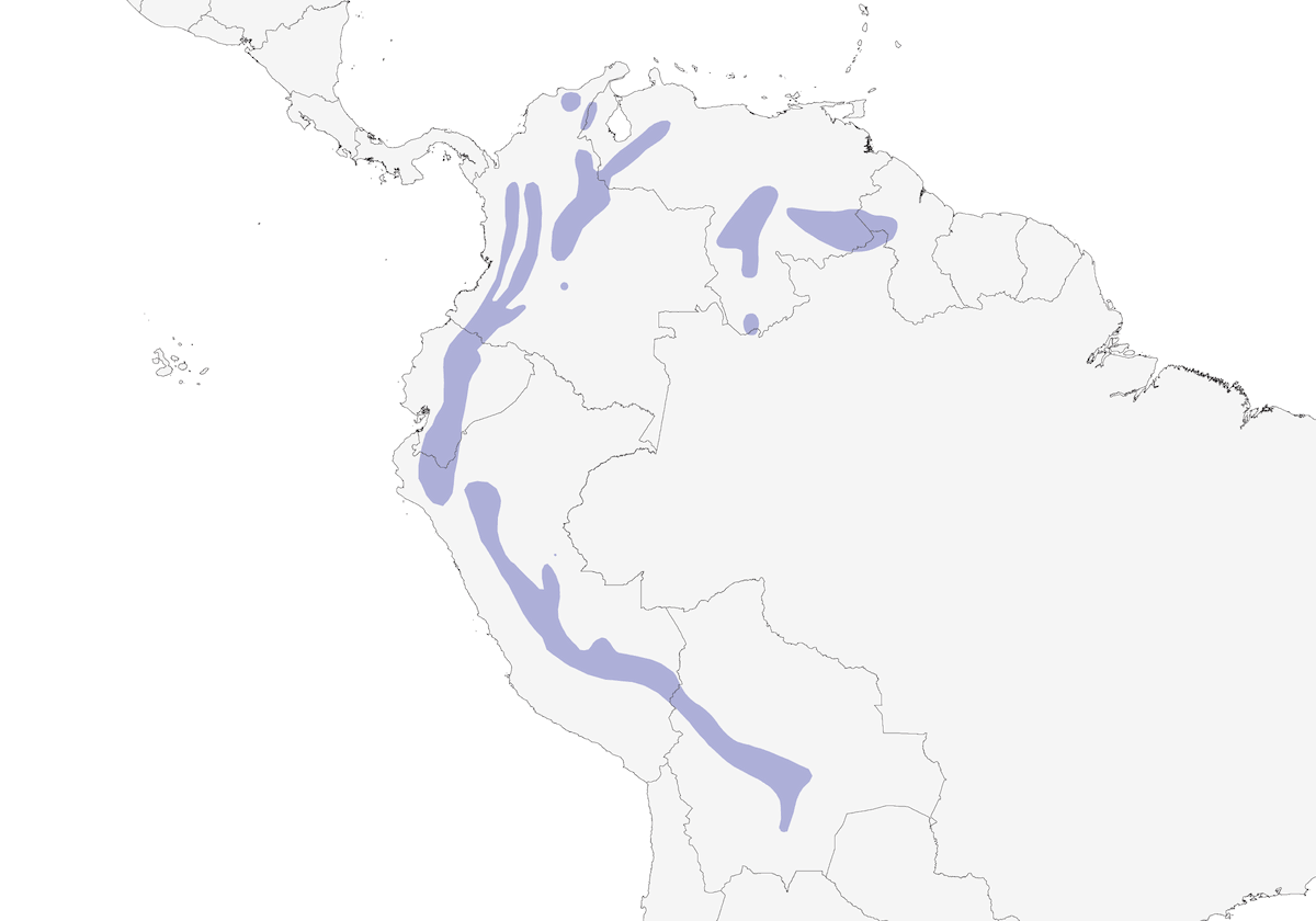 Masked Trogon, Distribution 1