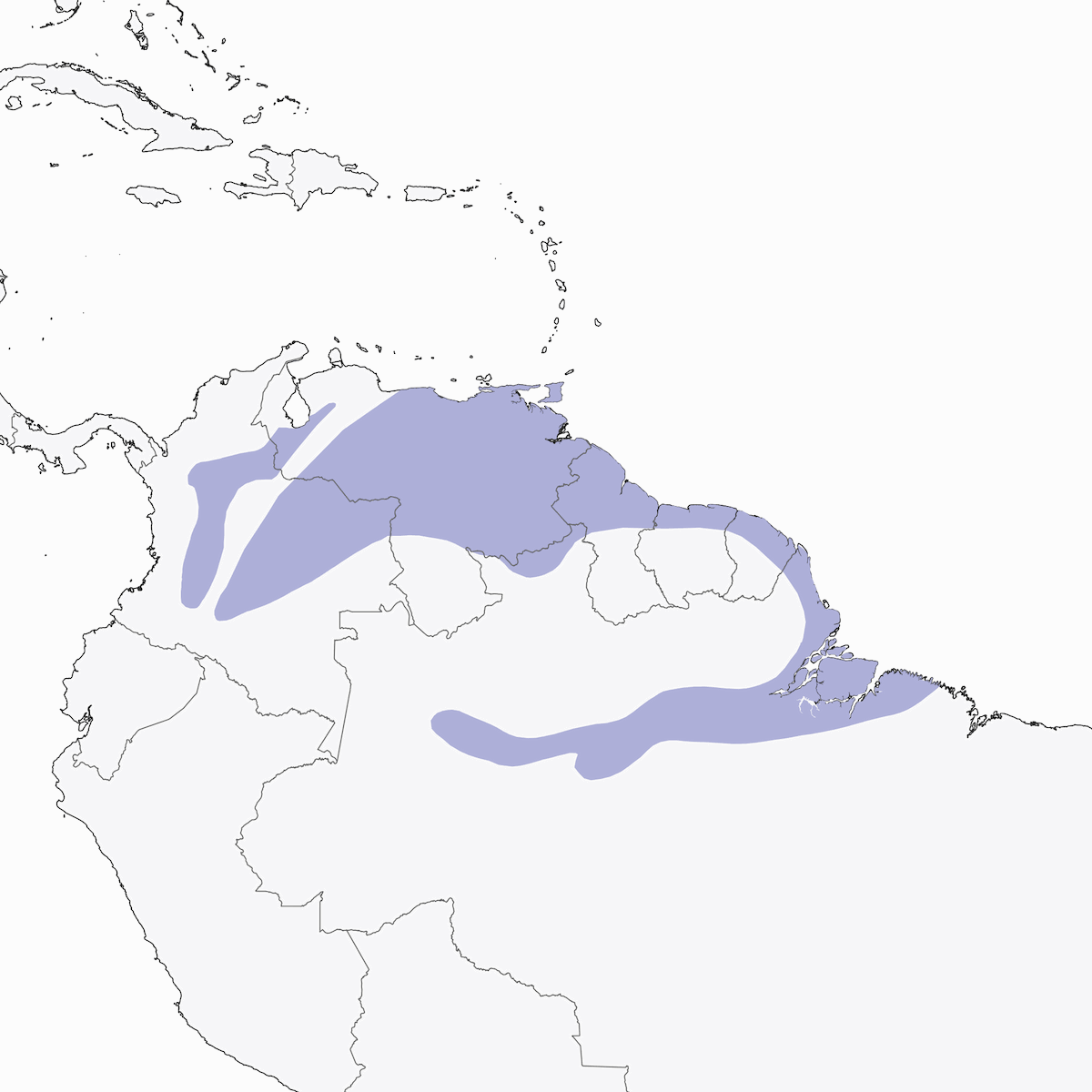 Masked Yellowthroat, Distribution 1