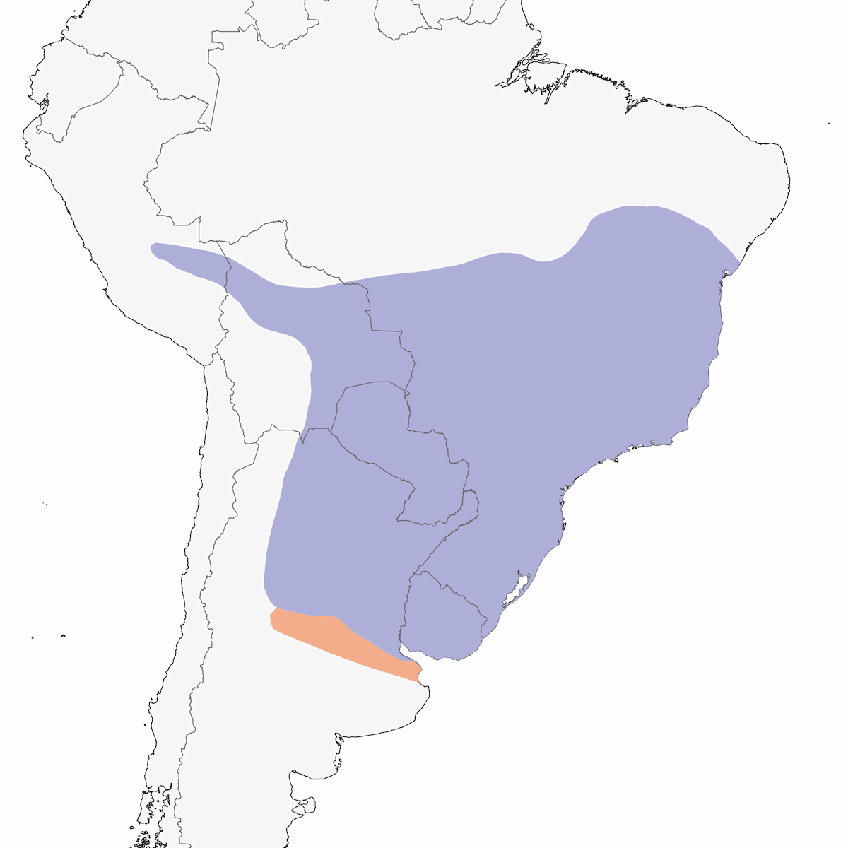 Golagialla meridionale, Distribuzione 1