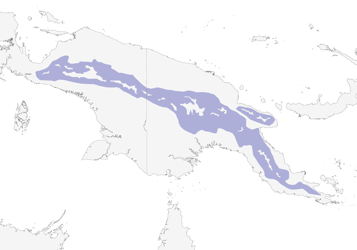 Loro-tigre de Madarasz, Distribución 1