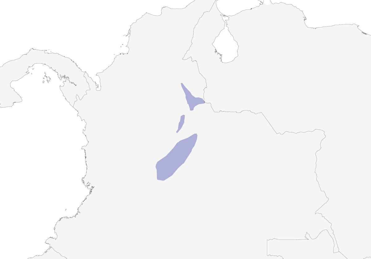 Tapacule à ventre pâle, Distribution 1