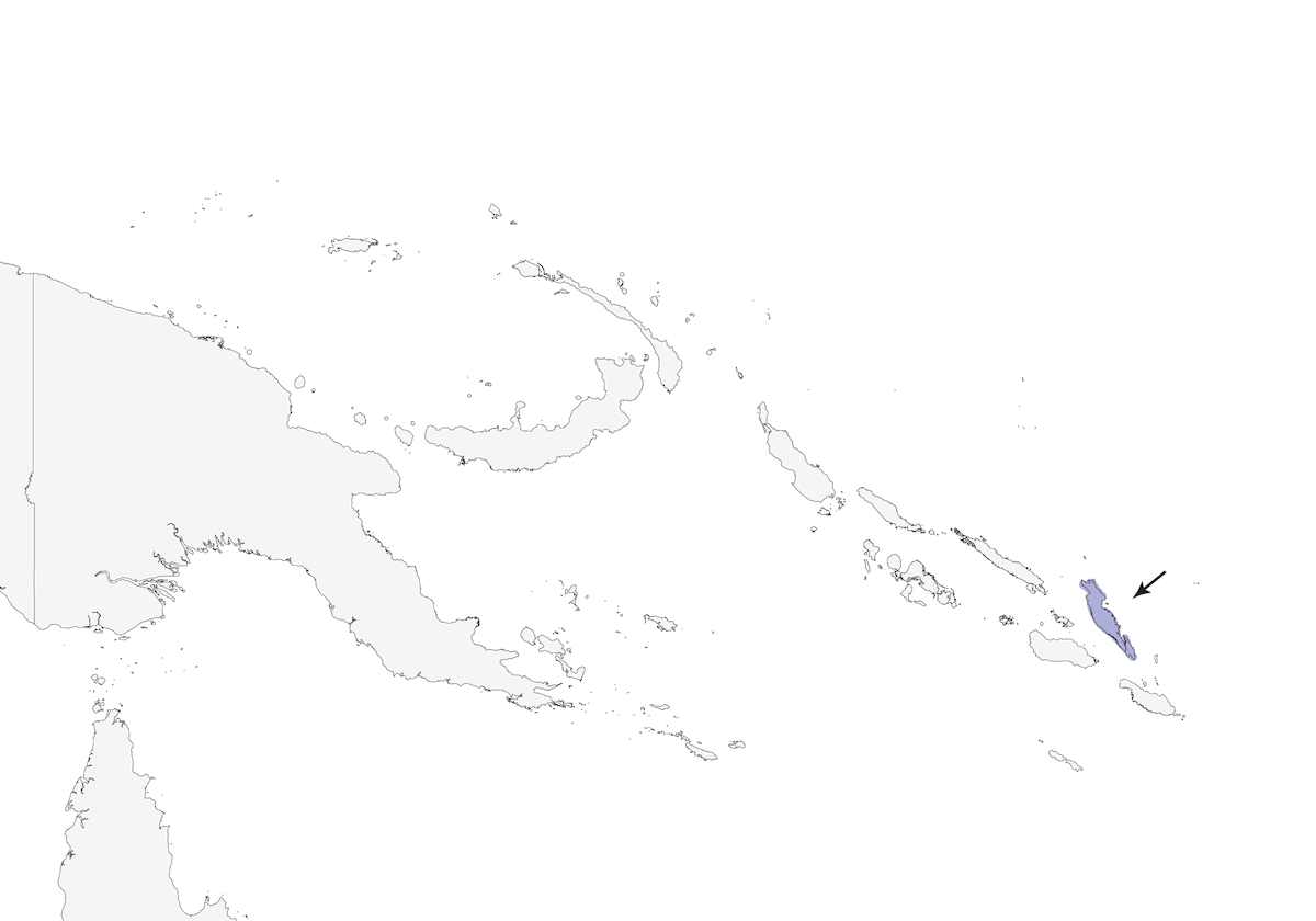 Occhialino di Malaita, Distribuzione 1