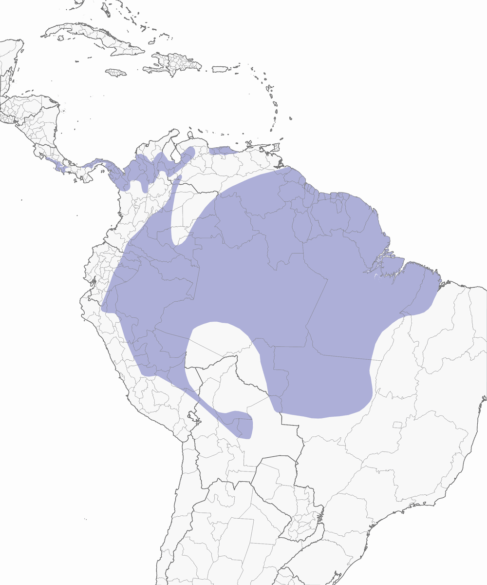 Marbled Wood-Quail, Distribution 1