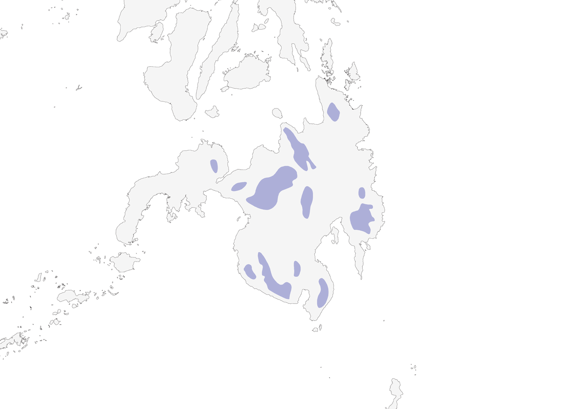 Coracina di McGregor, Distribuzione 1