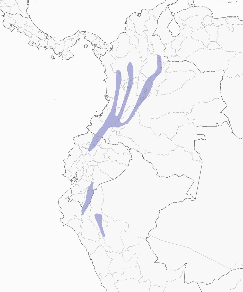 Tangara verdenero, Distribuzione 1