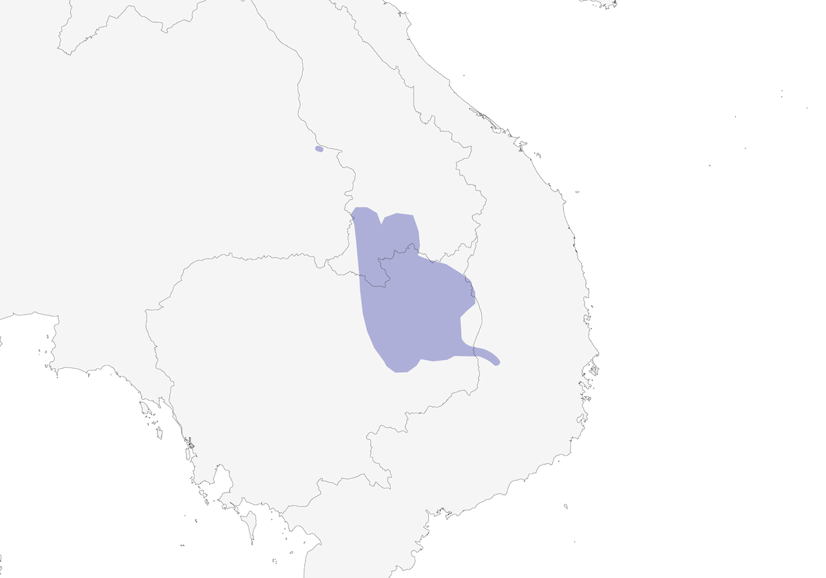Mekong Wagtail, Distribution 1