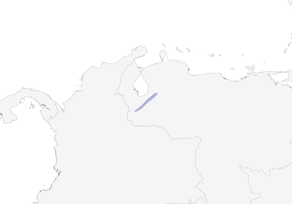 Chochín de Mérida, Distribución 1