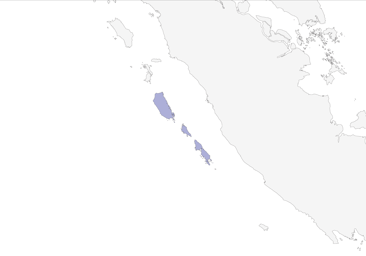 Assiolo di Mentawai, Distribuzione 1