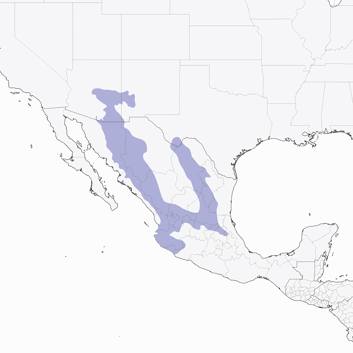 Chara Mexicana, Distribución 1