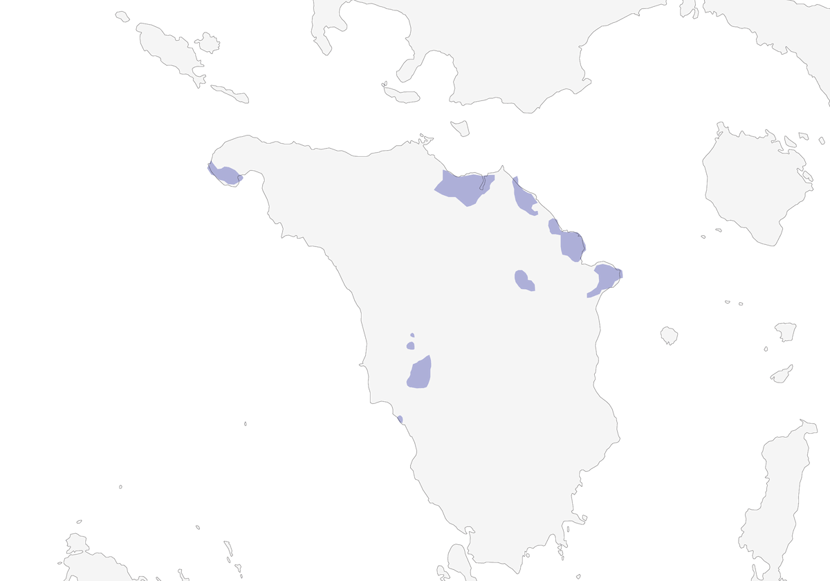 Gallicolombe de Mindoro, Distribution 1