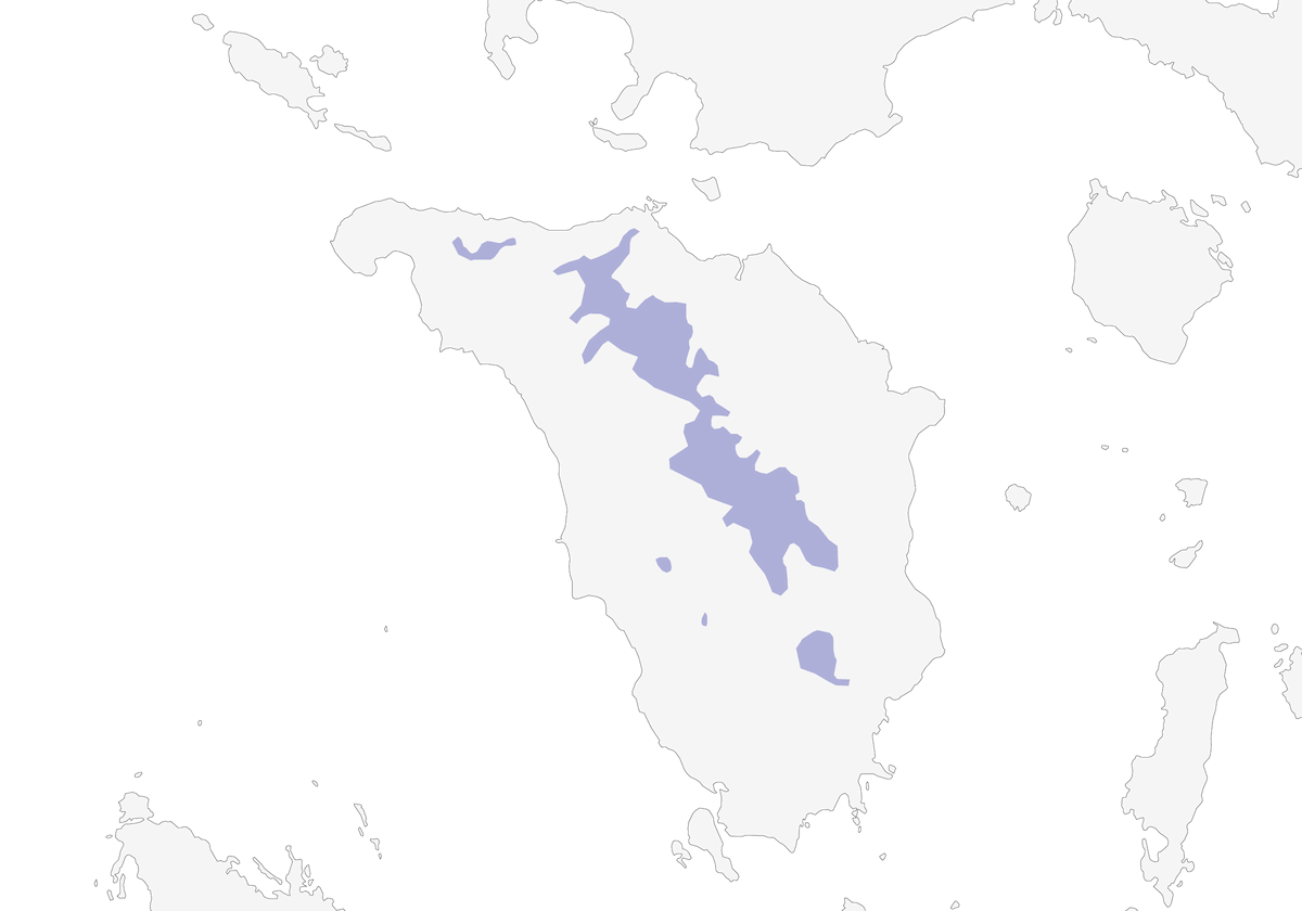 Paloma Imperial de Mindoro, Distribución 1